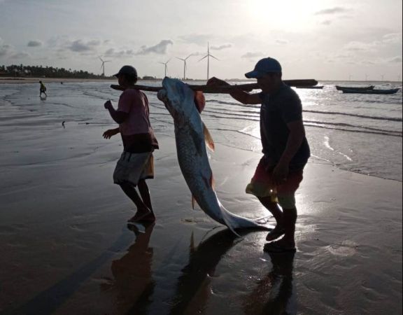 Pescadores são flagrados carregando peixe ameaçado de extinção na Praia Pedra do Sal